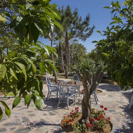 How To Rent Your Own In Protaras With Fantastic Private Pool, Protaras 1534 فيلة *